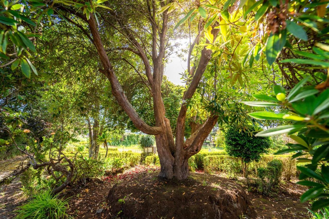 فيلا Casa Da Tia Clementina سانتانا المظهر الخارجي الصورة